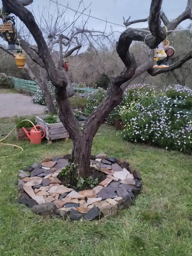 Jardí de Finca rústica en venda en L'Aleixar