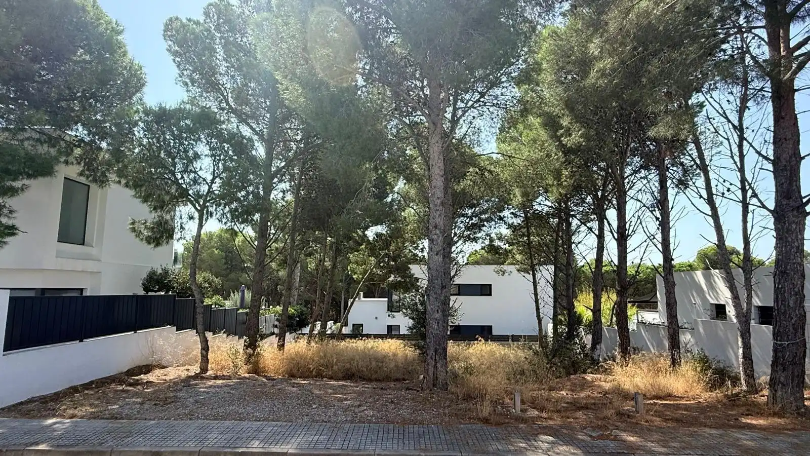 Grundstücke und Bauplätze zum Verkauf in Carrer Carrer Eucaliptus, imagen 5