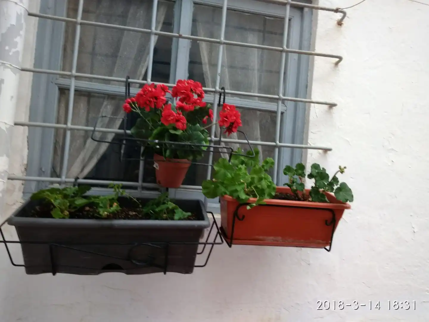 Balcony of Flat for sale in Hellín  with Terrace and Balcony