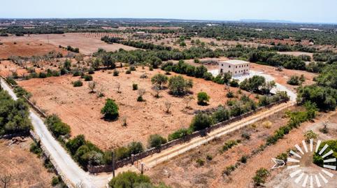 Foto 2 de Finca rústica de alquiler en Cami de Son Lledons, Santanyí Poble, Santanyí
