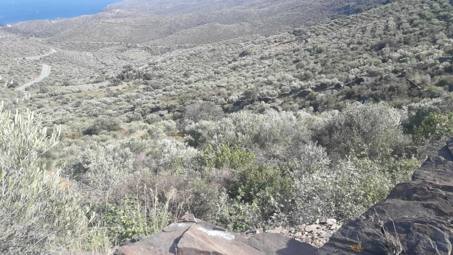 Lands and plots for sale in Ses Closes, imagen 6