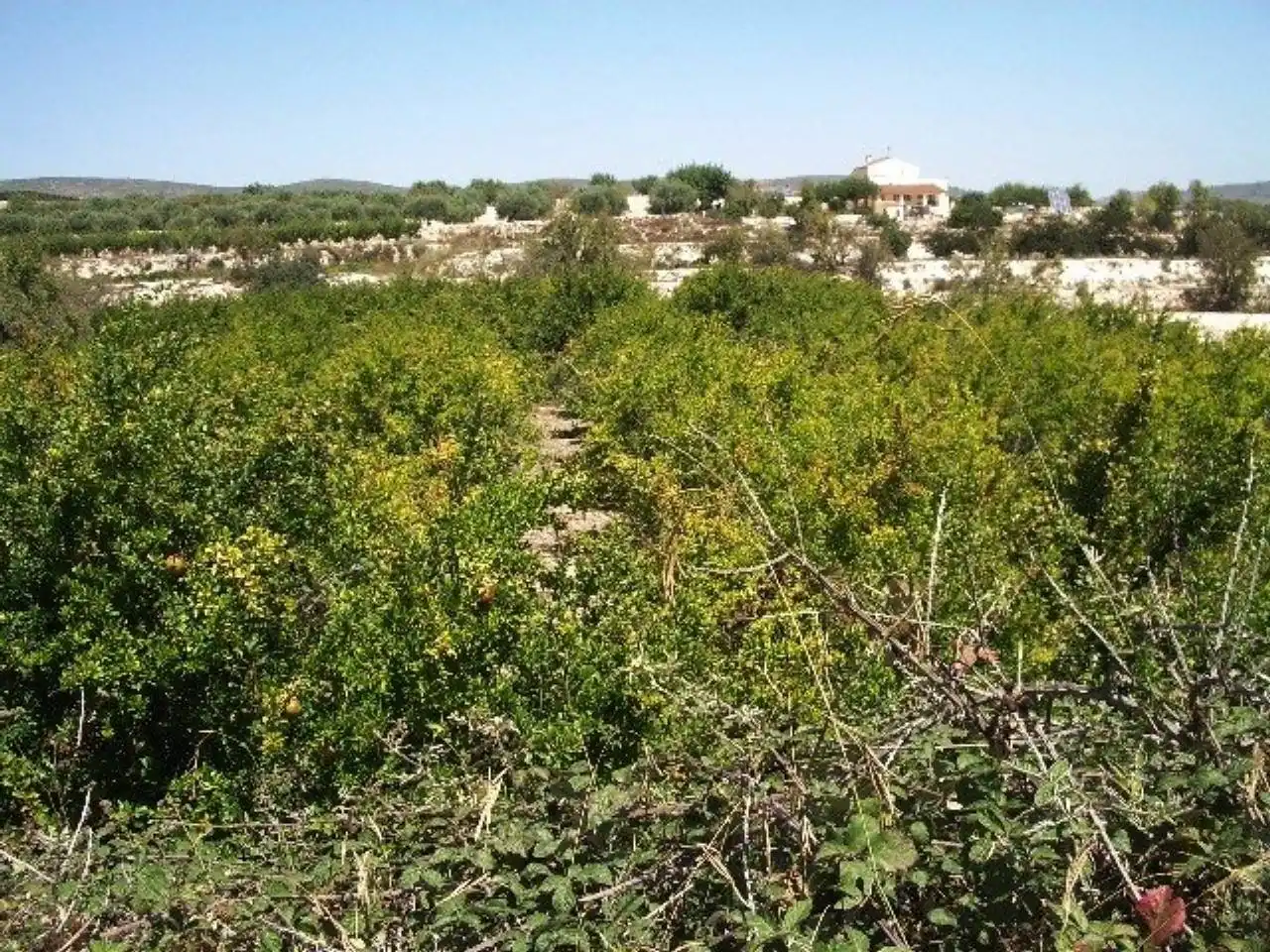 Terreno residencial en venta en Casa Marau, imagen 12