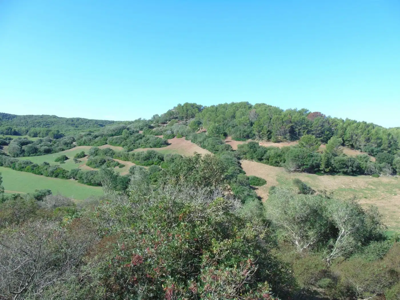 Casa o chalet en venta en Ciutadella de Menorca con Jardín privado, Terraza y Trastero