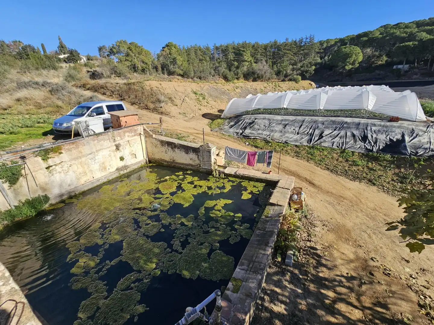 Piscina de Finca rústica en venta en Canet de Mar con Jardín privado