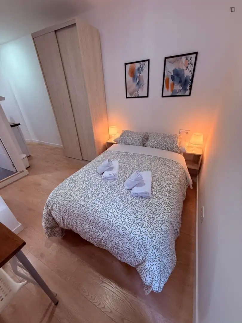 Studio avec ascenseur à louer à Centro, imagen 18