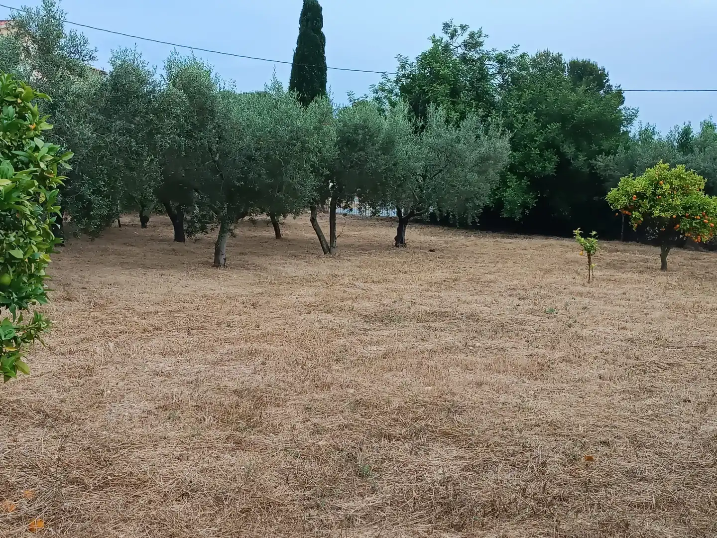 Terreno residencial en venta en Carrer Reus, imagen 19