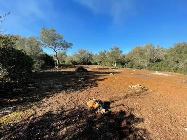 Residential land for sale in Polígono CAS FUSTER, POLGONO 49 - LA PLATA DE SON MAYO, imagen 11