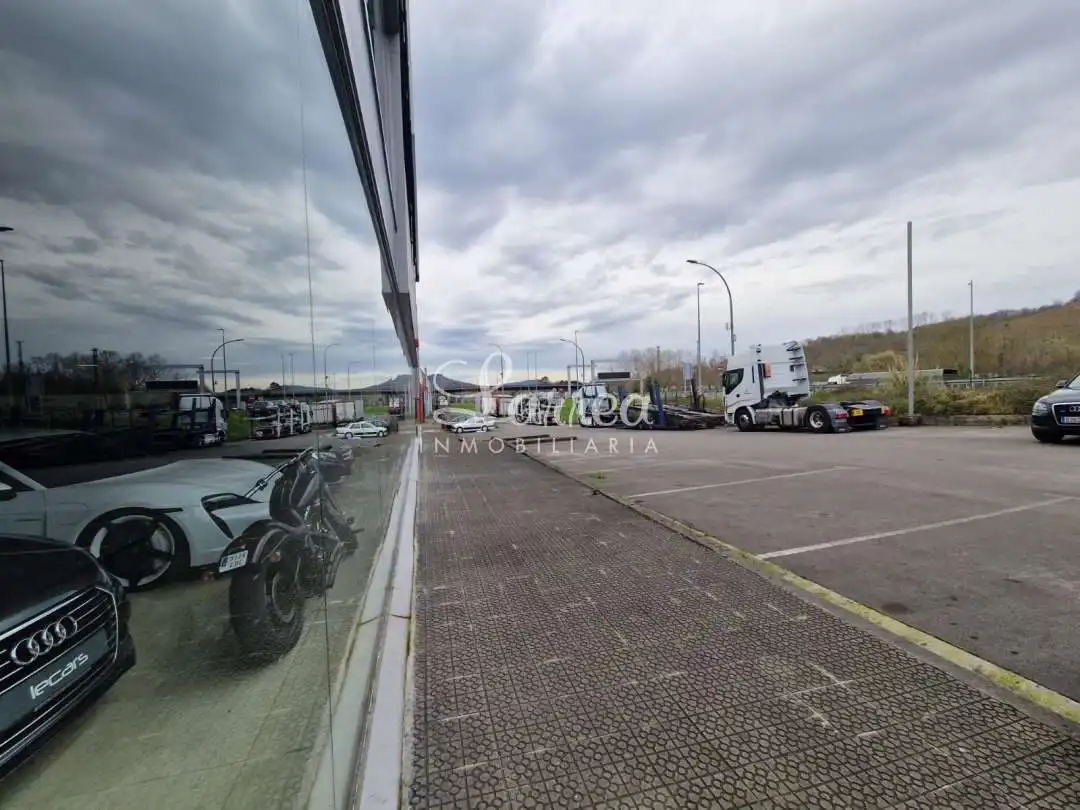 Industriegebäude zum Verkauf in Amorebieta-Etxano, imagen 11