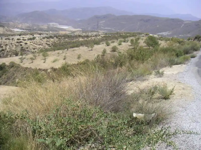 Casa o chalet en venta en Ugíjar