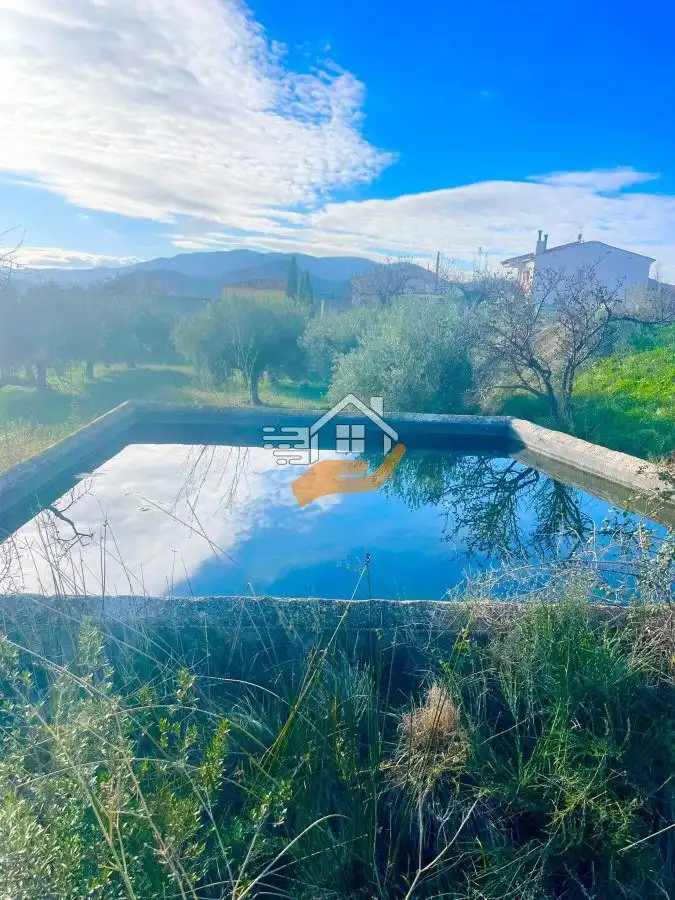 Lands and plots for sale in Vélez-Blanco, imagen 2