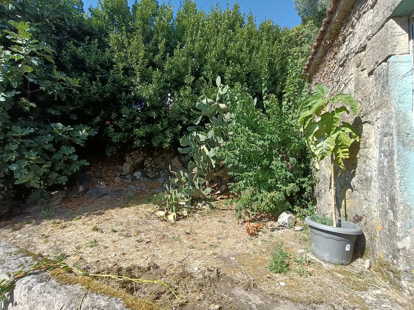 Houses for sale in Ribeira  with Private garden