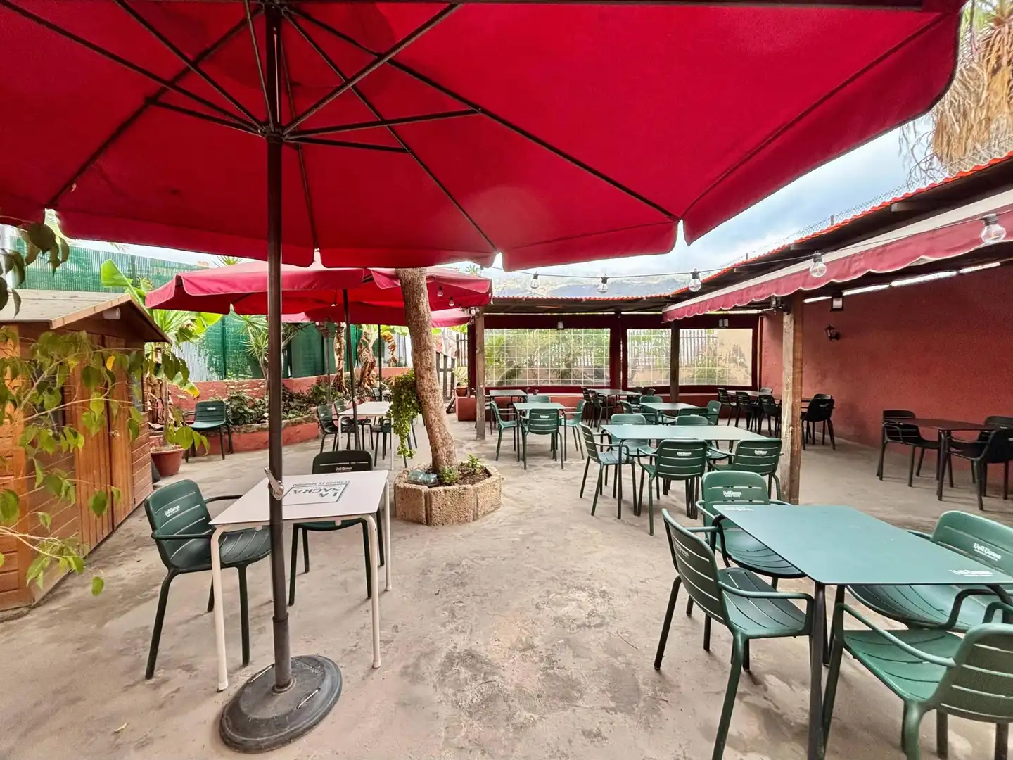 Terraza de Local de alquiler en Güímar
