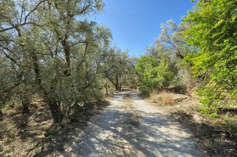 Terreno rustico in vendita a El Pinar, imagen 9