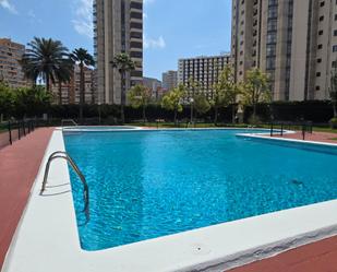 Piscina de Pis en venda en Benidorm amb Piscina comunitària