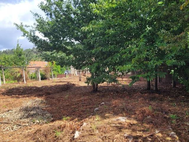 Terreno residencial en Venta en Aldea Buceleiras, 11 en Bugallido