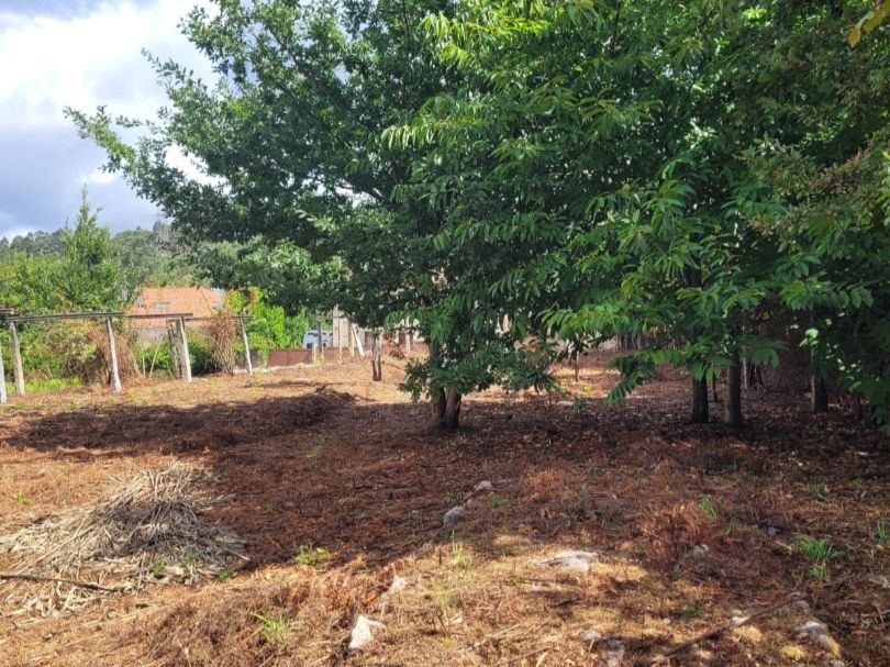 Residencial en venda en Ames