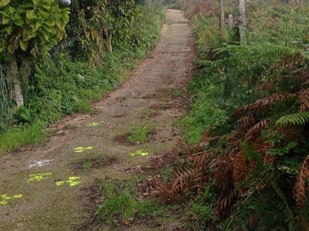 Terreno en Venta en Rúa Xeme, 109 en Bembrive