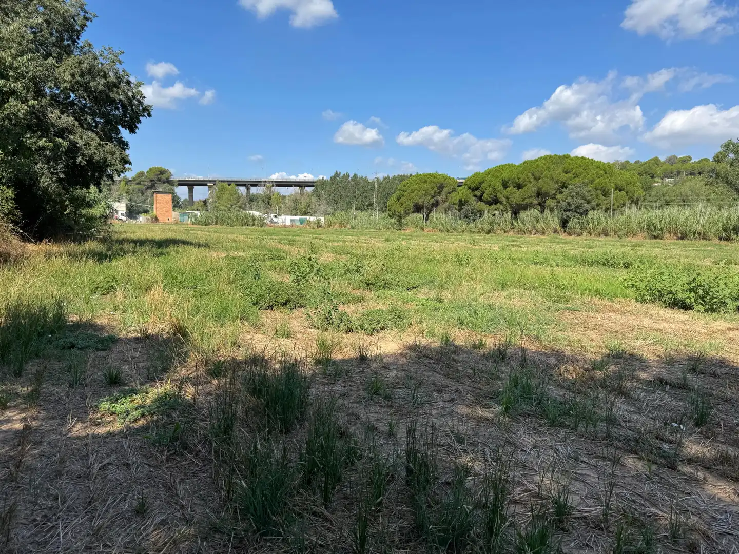 Terreno rústico en venta en Martorell, imagen 5