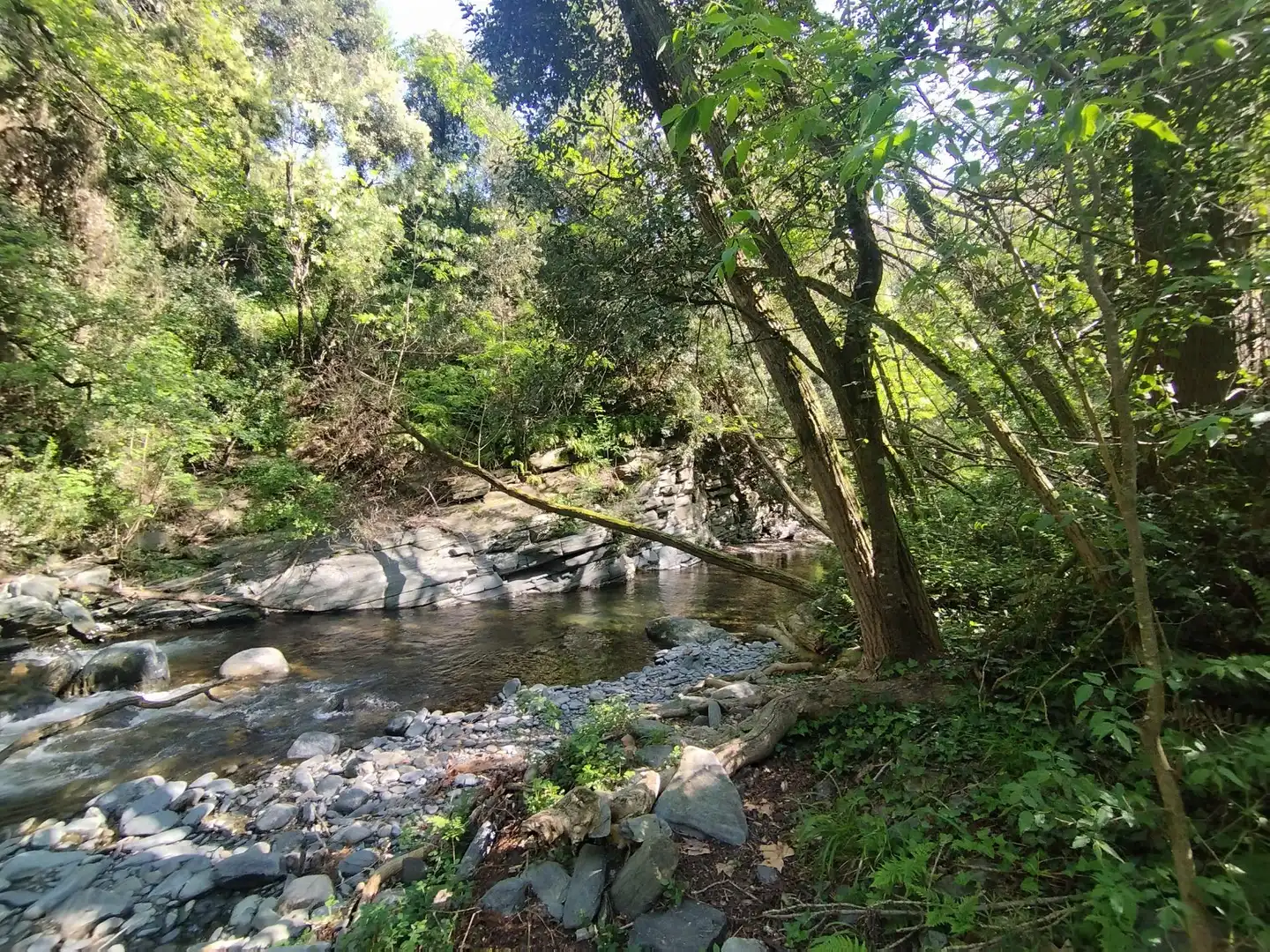 Vista exterior de Finca rústica en venda en Sant Esteve de Palautordera