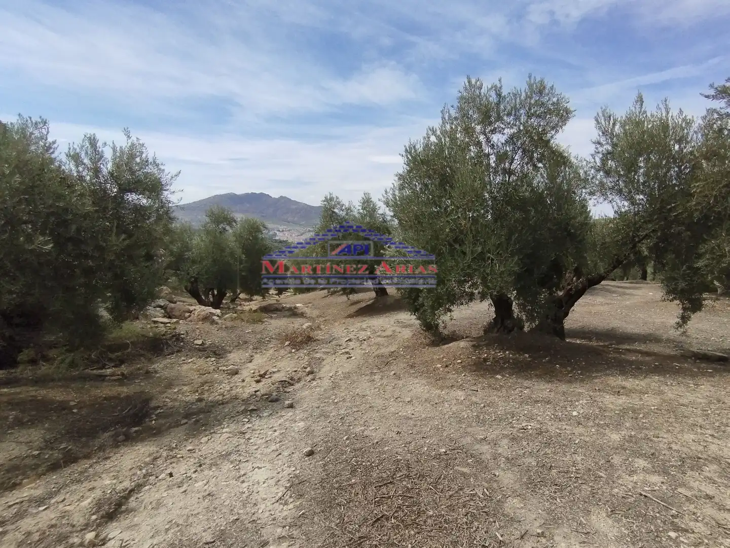 Terreni e lotti in vendita a Quesada, imagen 4