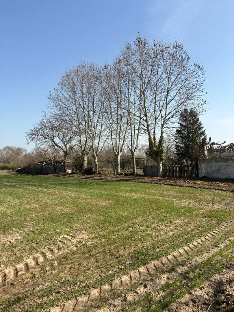 Terreno rustico in vendita a Arrúbal
