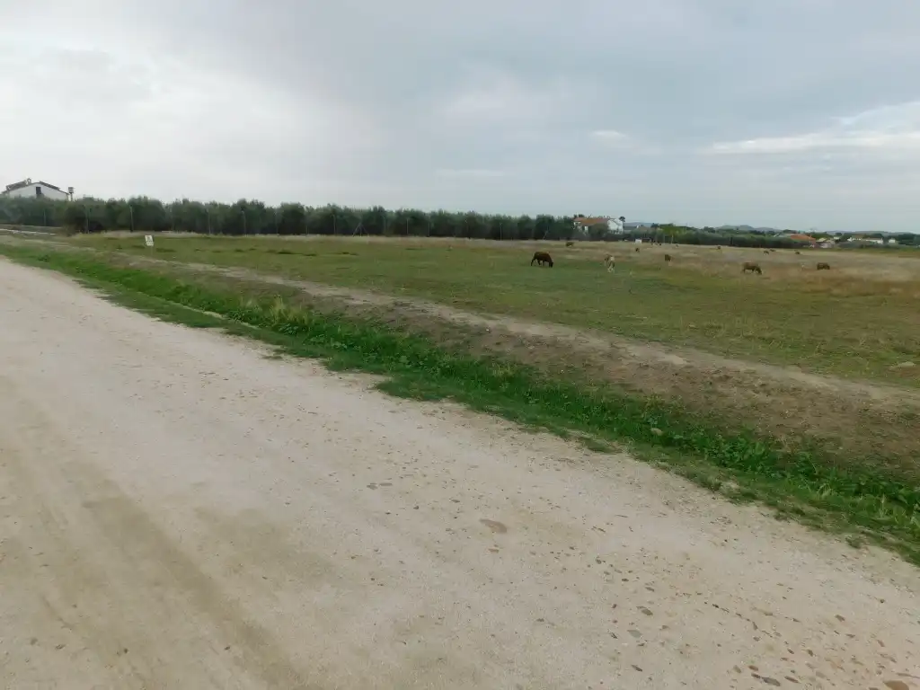 Terrain rustique à vendre à Don Benito, imagen 5