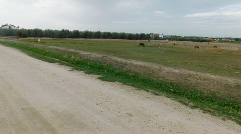 PARCELA RUSTICA EN LAS ARENAS, imagen 5