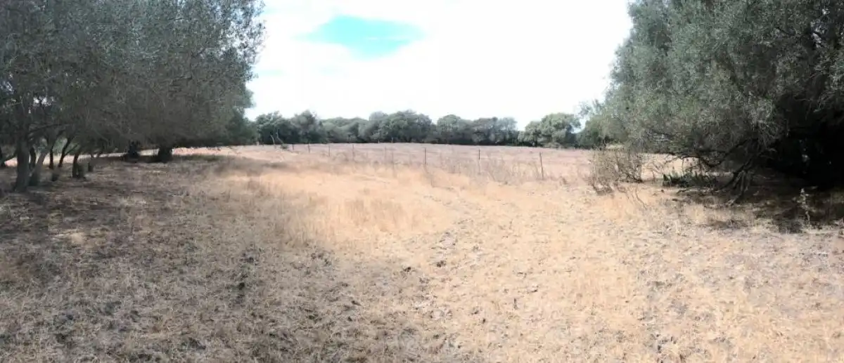 Terrain rustique à vendre à Vejer, imagen 3