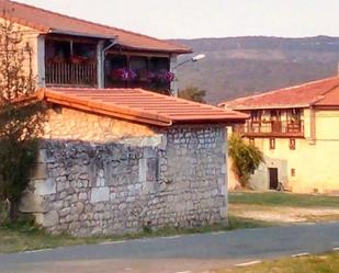 Vista exterior de Casa o xalet en venda en Valle de Manzanedo amb Jardí privat