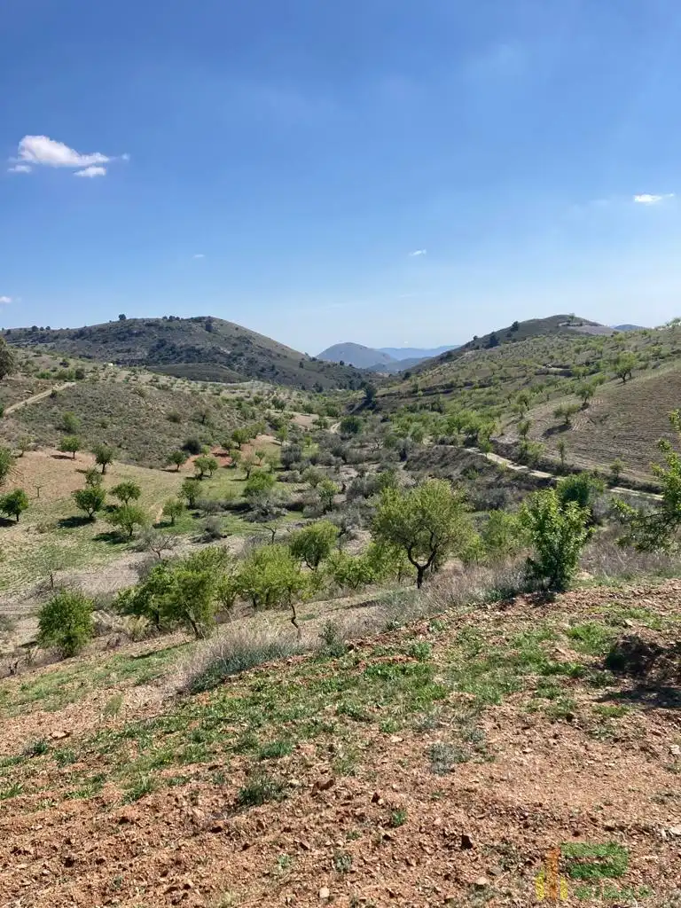 Terreni e lotti in vendita a Sierra de La Torrecilla, imagen 2
