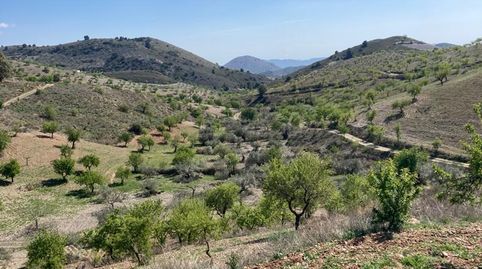 Foto 2 de Residencial en venta en Sierra de la Torrecilla, Torrecilla, Lorca