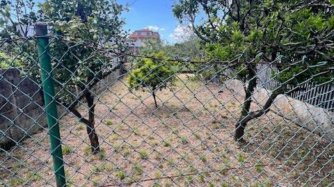 Photo 3 of House or chalet for sale in Rúa Pedras, Sobradelo, Pontevedra