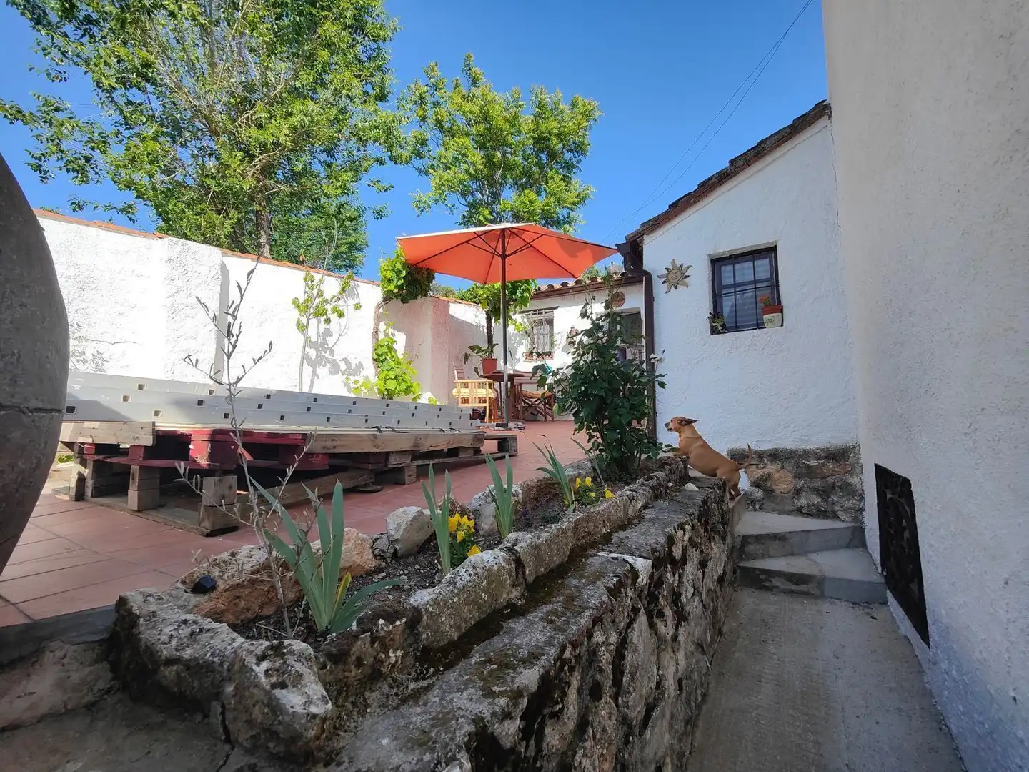 Casa o chalet en venta en Olmeda de las Fuentes