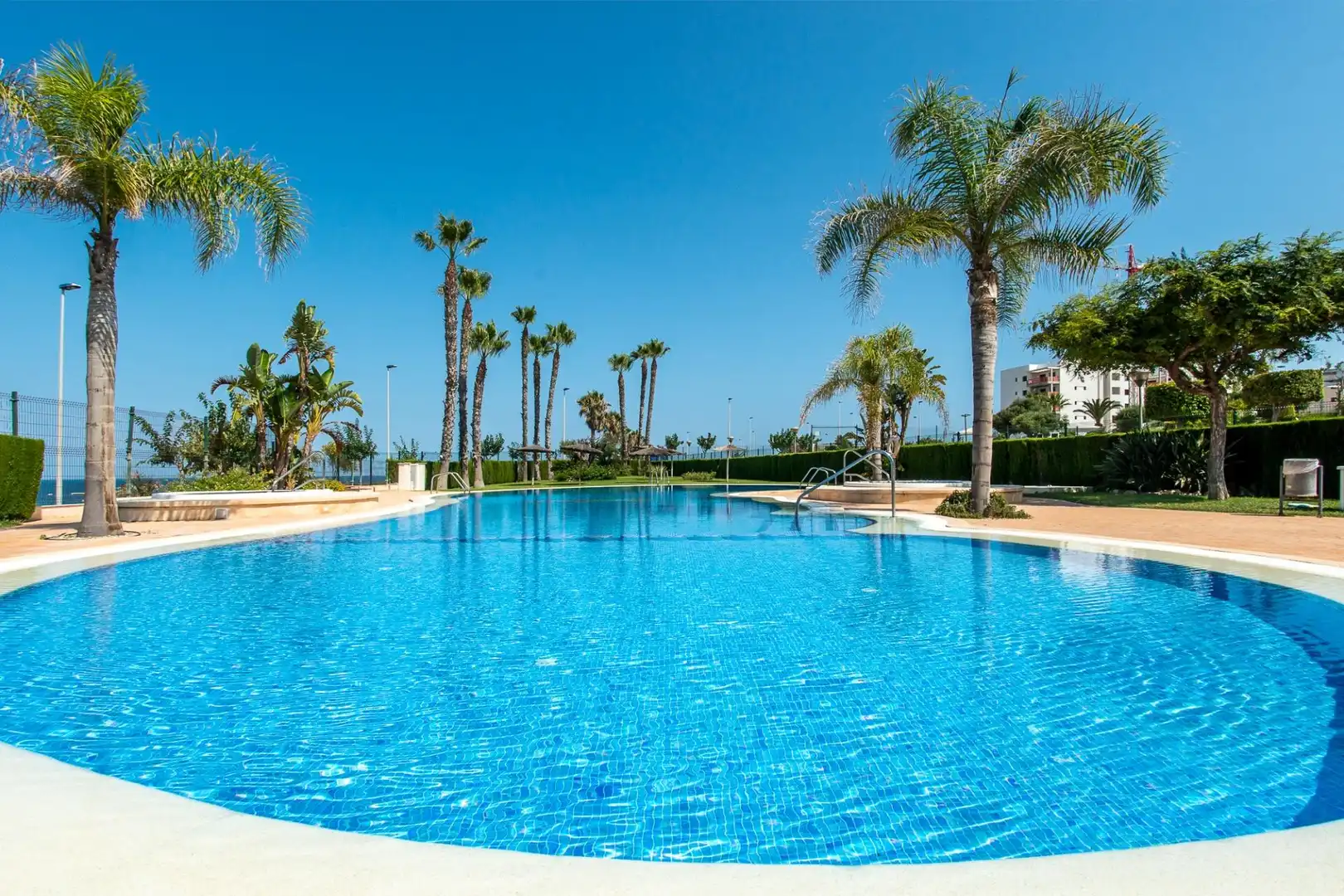 Piscina de Àtic en venda en Pilar de la Horadada amb Aire condicionat, Calefacció i Jardí privat