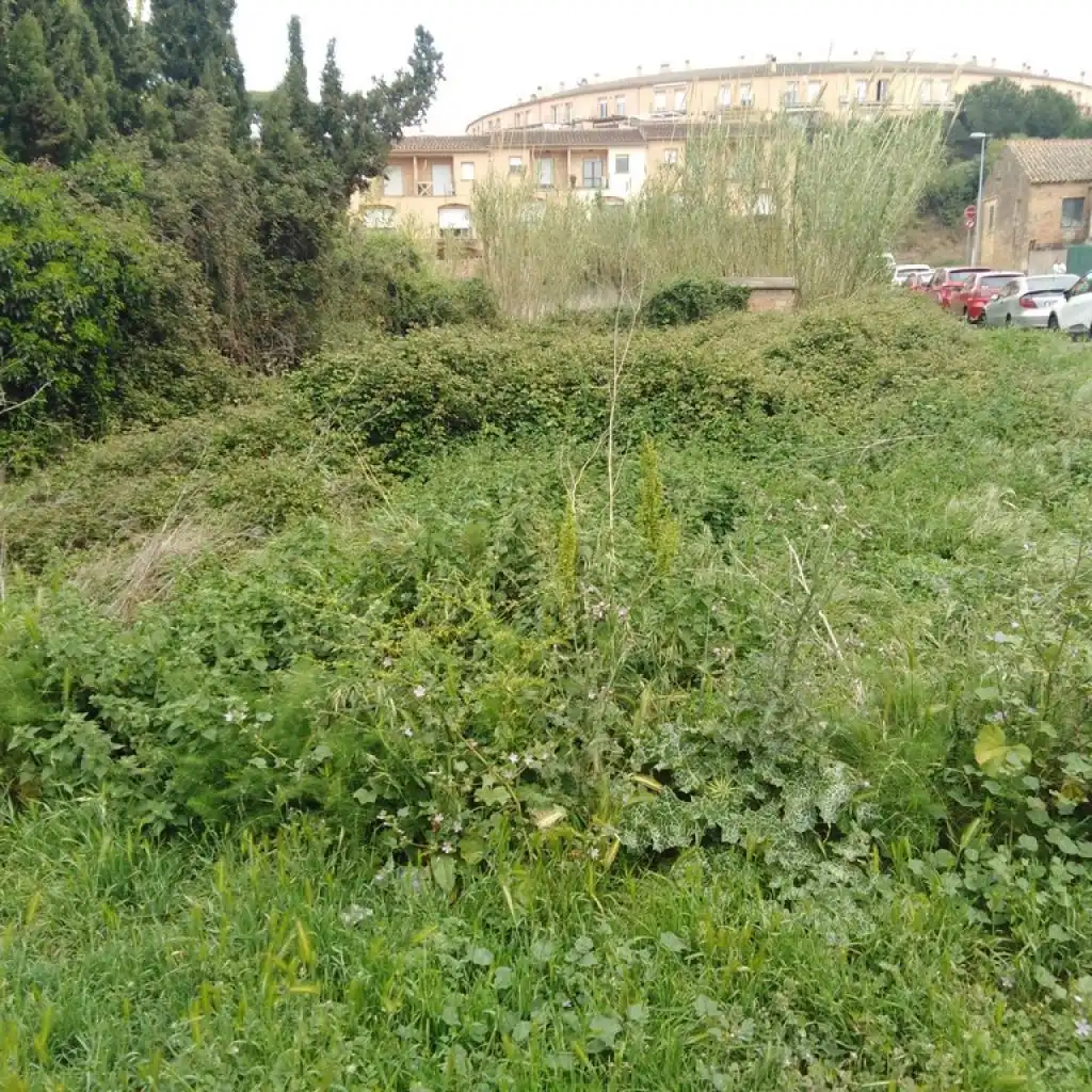 Rural land for sale in PUNXA, imagen 10