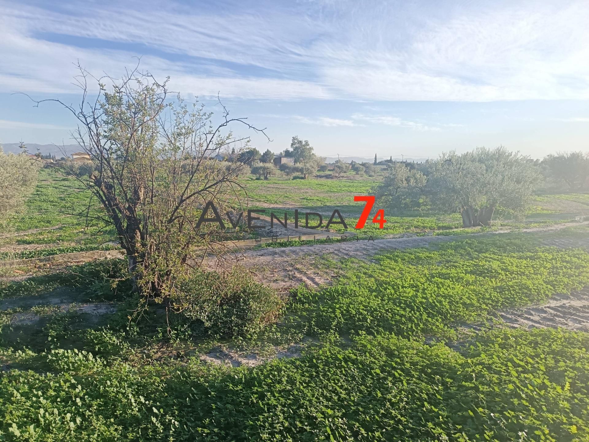 Casa o chalet en venta en Lorca