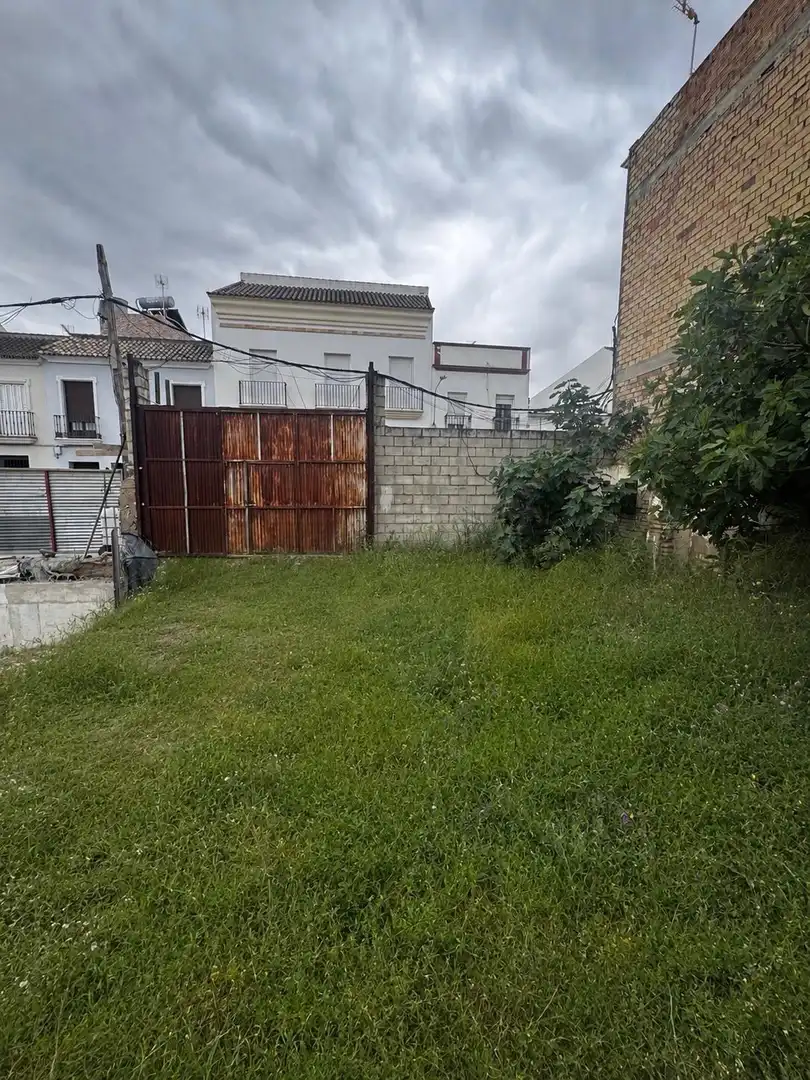 Rural land for sale in Arahal, imagen 3