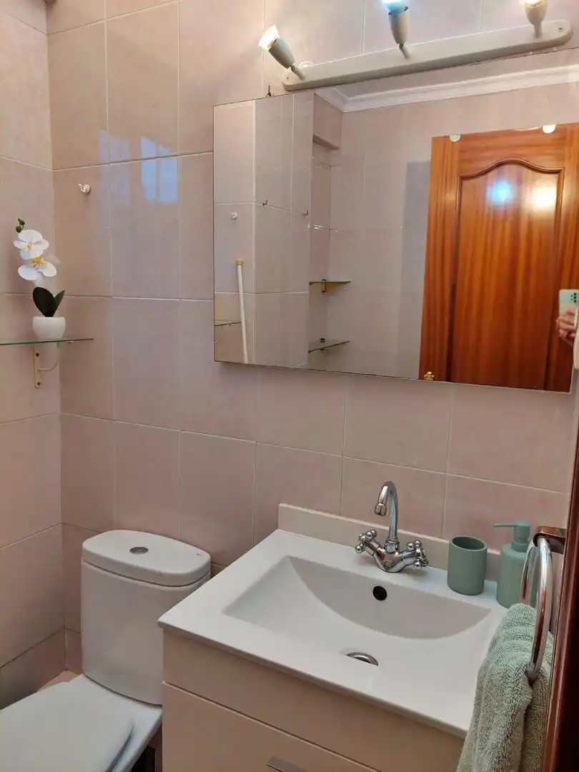 Baño de Piso de alquiler en Málaga con Amueblado y Balcón