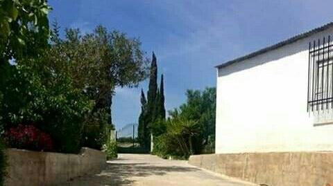 Photo 5 of Country house for sale in Cantoria, Almería