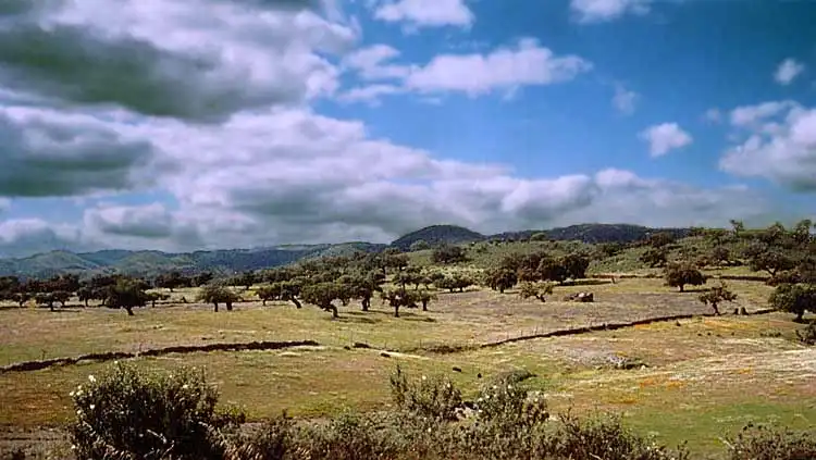 Terreni e lotti in vendita a La Carolina