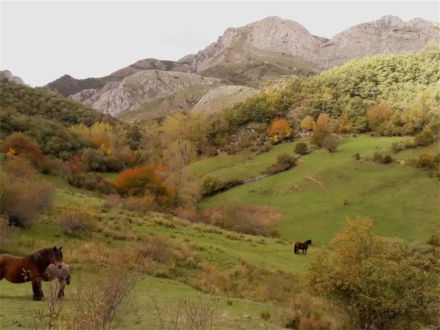 Vista exterior de Finca rústica en venta en Valderrueda