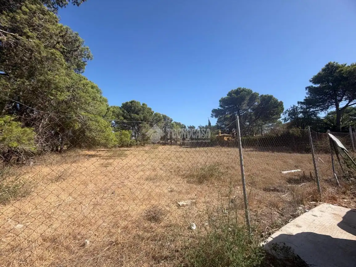 Terreny rústic en venda a Los Franceses – La Vega, imagen 14