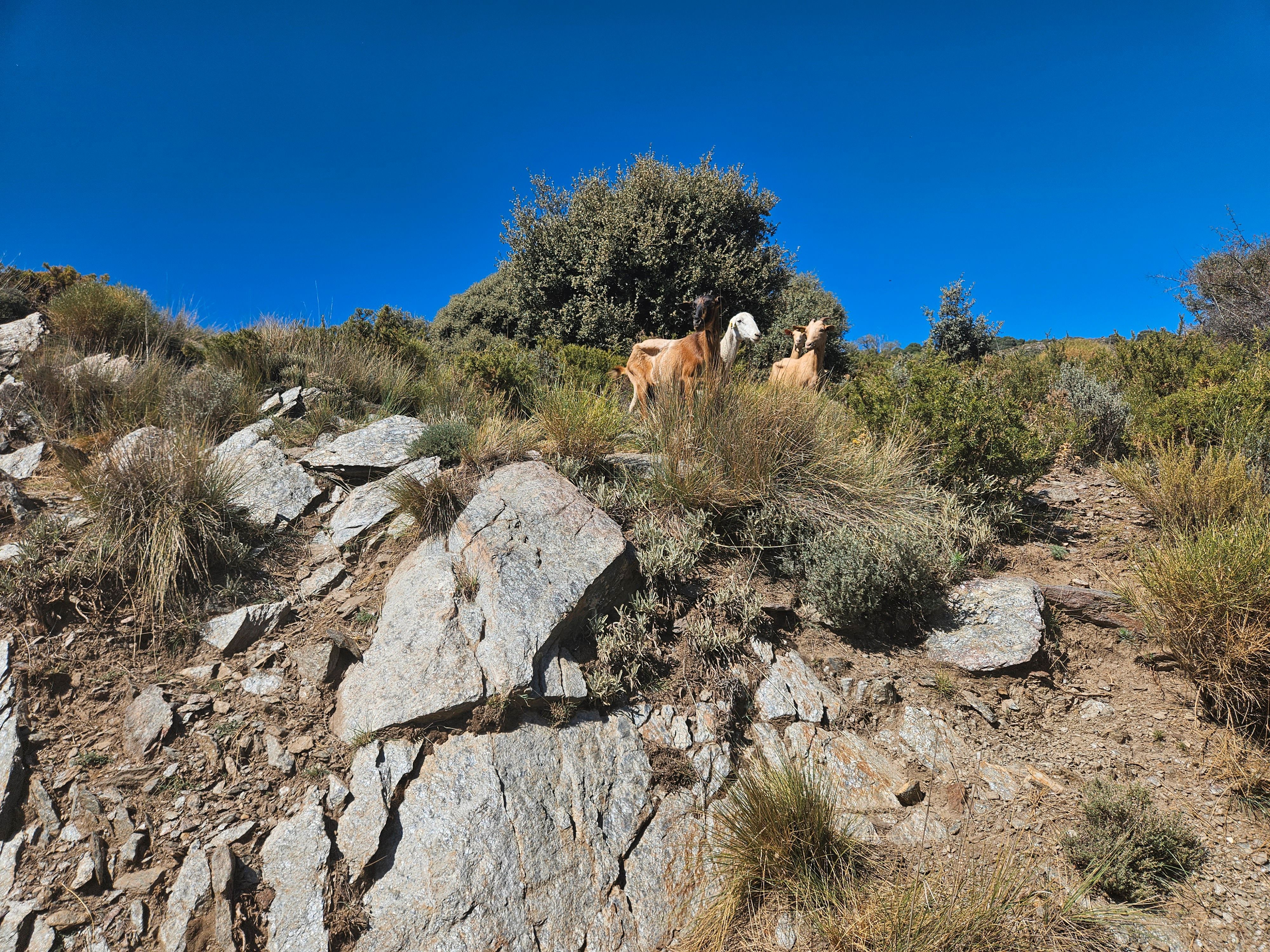 Land for sale in N/A