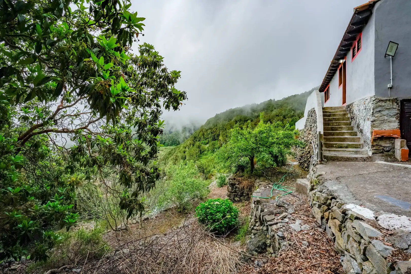 Finca rústica en venda a Hermigua