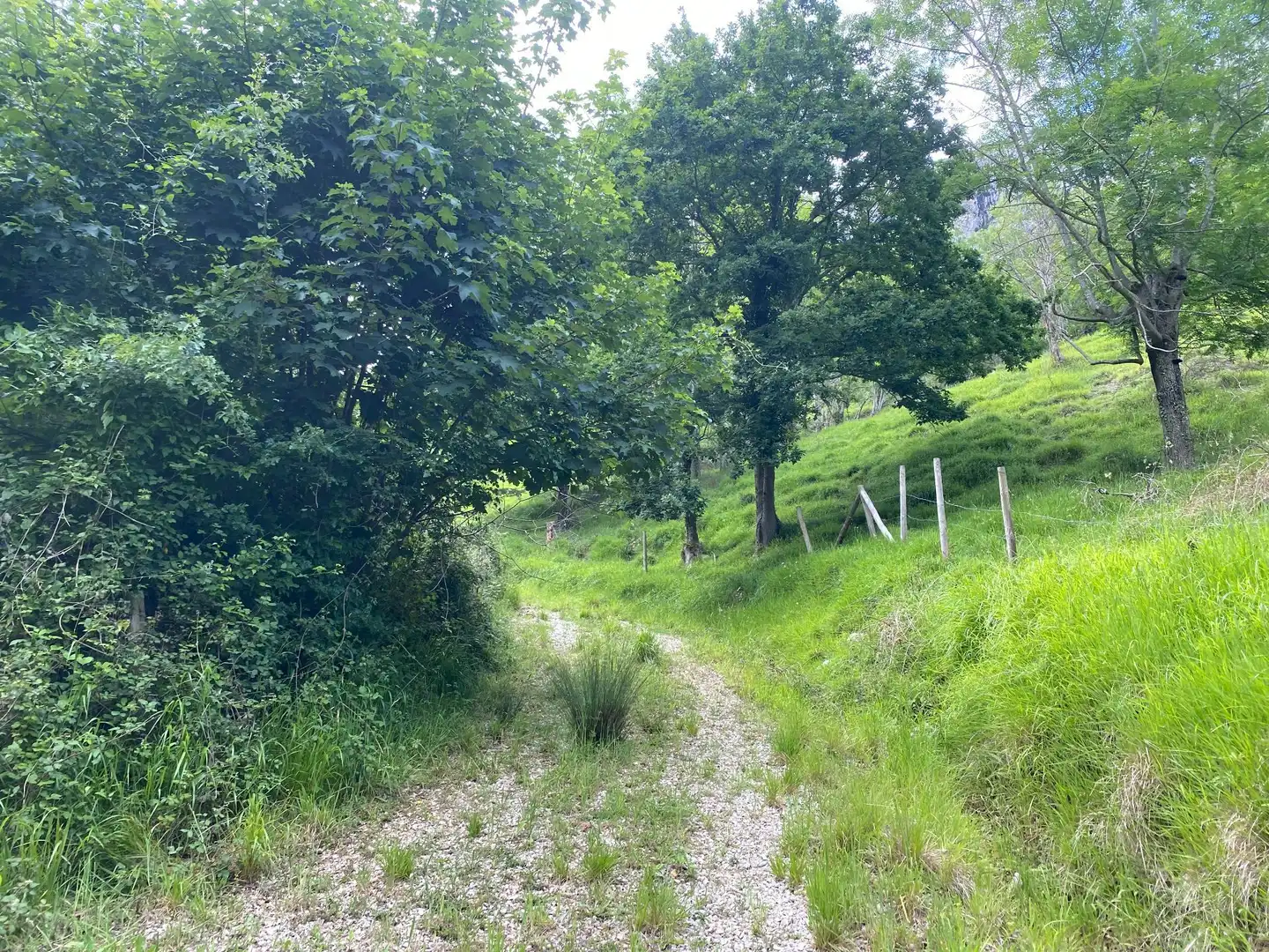 Land for sale in La Molina, Cabrales