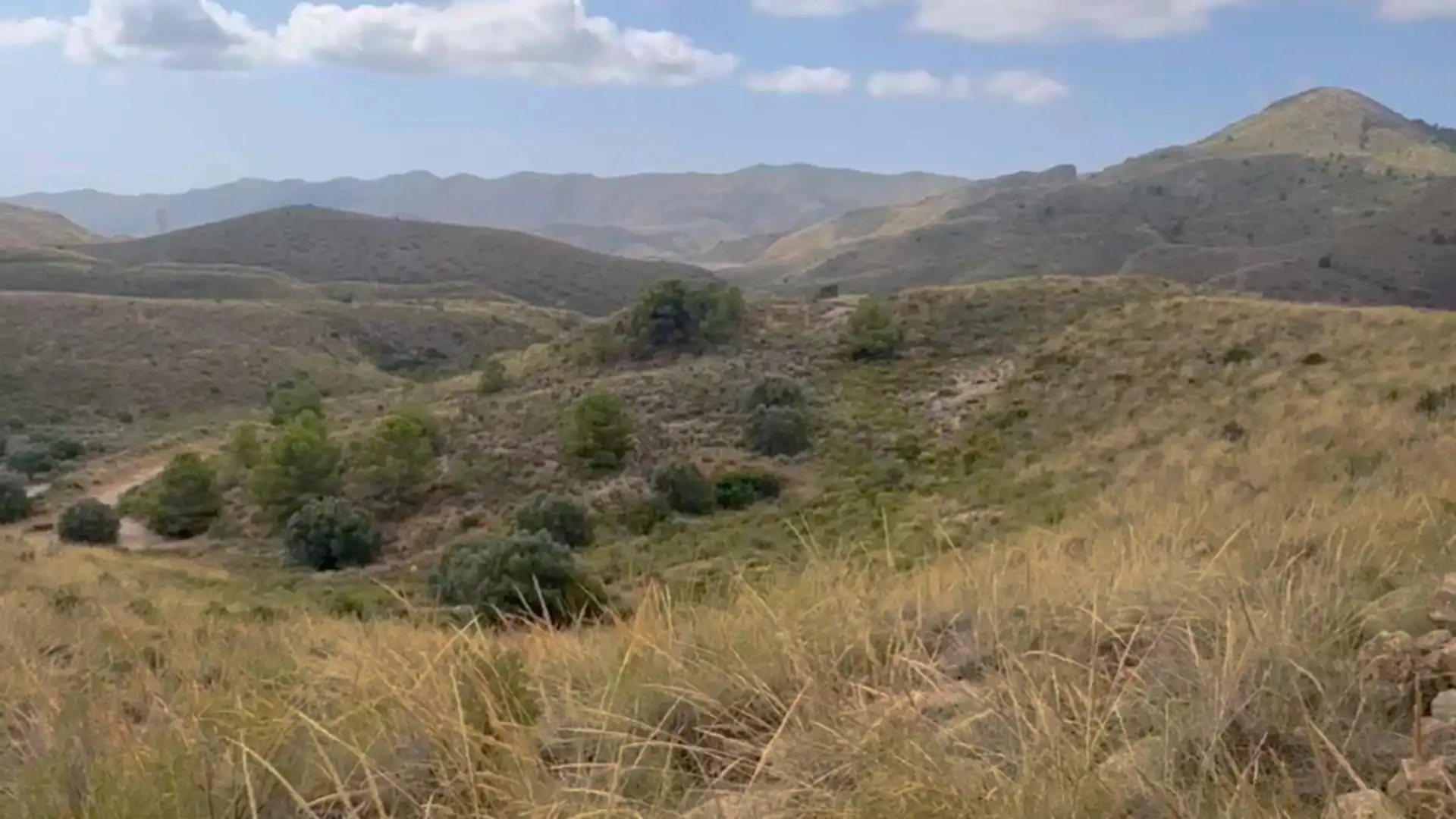 Country homes for sale in Lorca  with Private garden