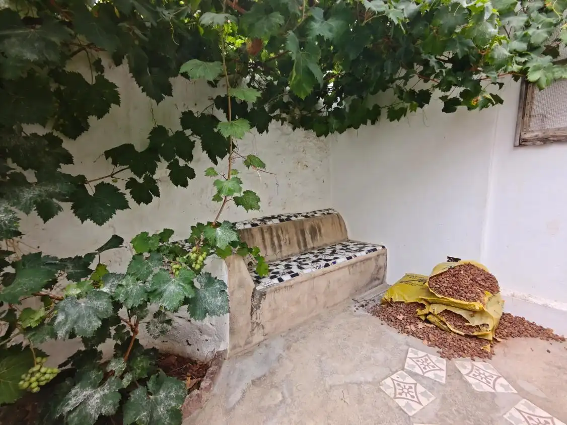 Casa con jardín en venta en Garachico, imagen 51