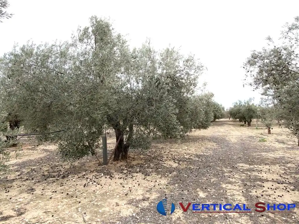 Casa o chalet en venta en Caudete