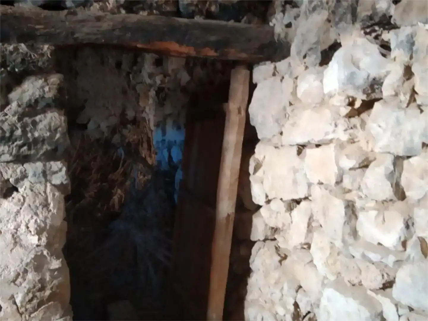 Geschaftsraum zum Verkauf in Molinos