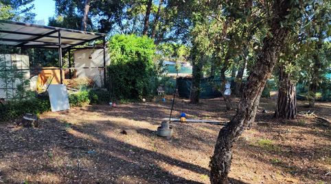PARCELLA  A LA VENTA A LA CANYERA, immagine 5